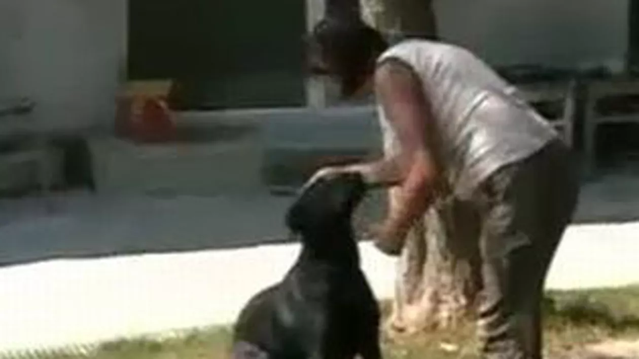 Făt mort, descoperit în albia unui pârâu de câinele unei localnice din Băile Govora