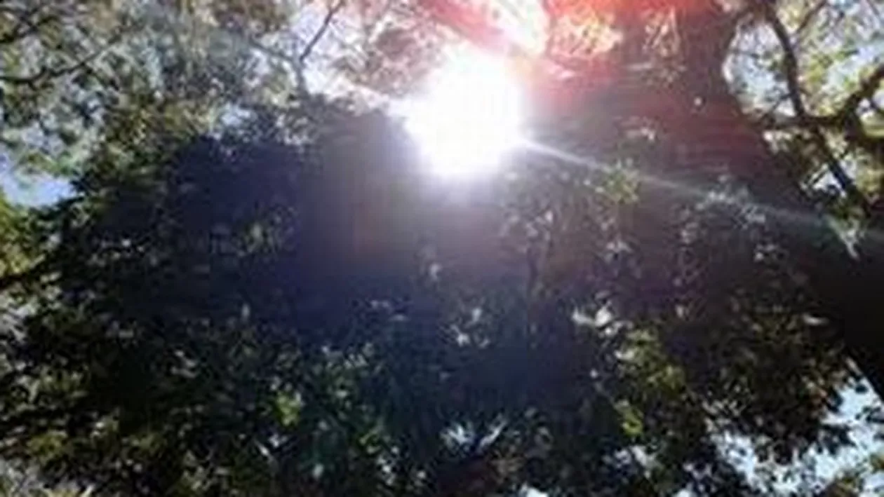 Cod galben de caniculă în București și 21 de județe din sudul și estul țării: Temperaturile vor atinge 39 de grade