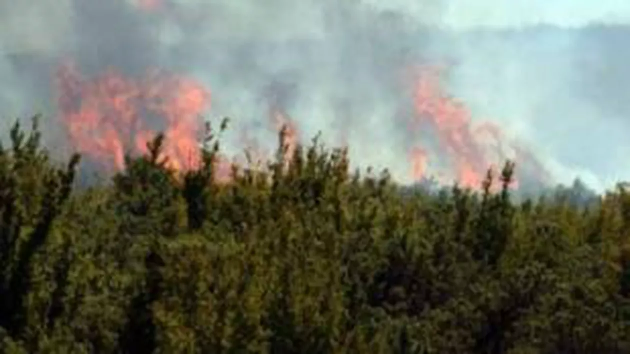 Incendii de vegetație uscată și fond forestier, semnalate în 11 județe din țară. Vezi zonele afectate
