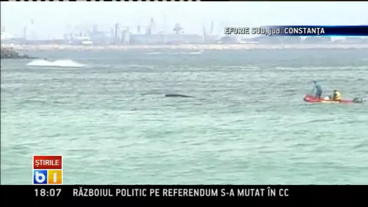 Președintele Traian Băsescu, întrevedere privind extinderea zonei Schengen cu premierul olandez și bulgar