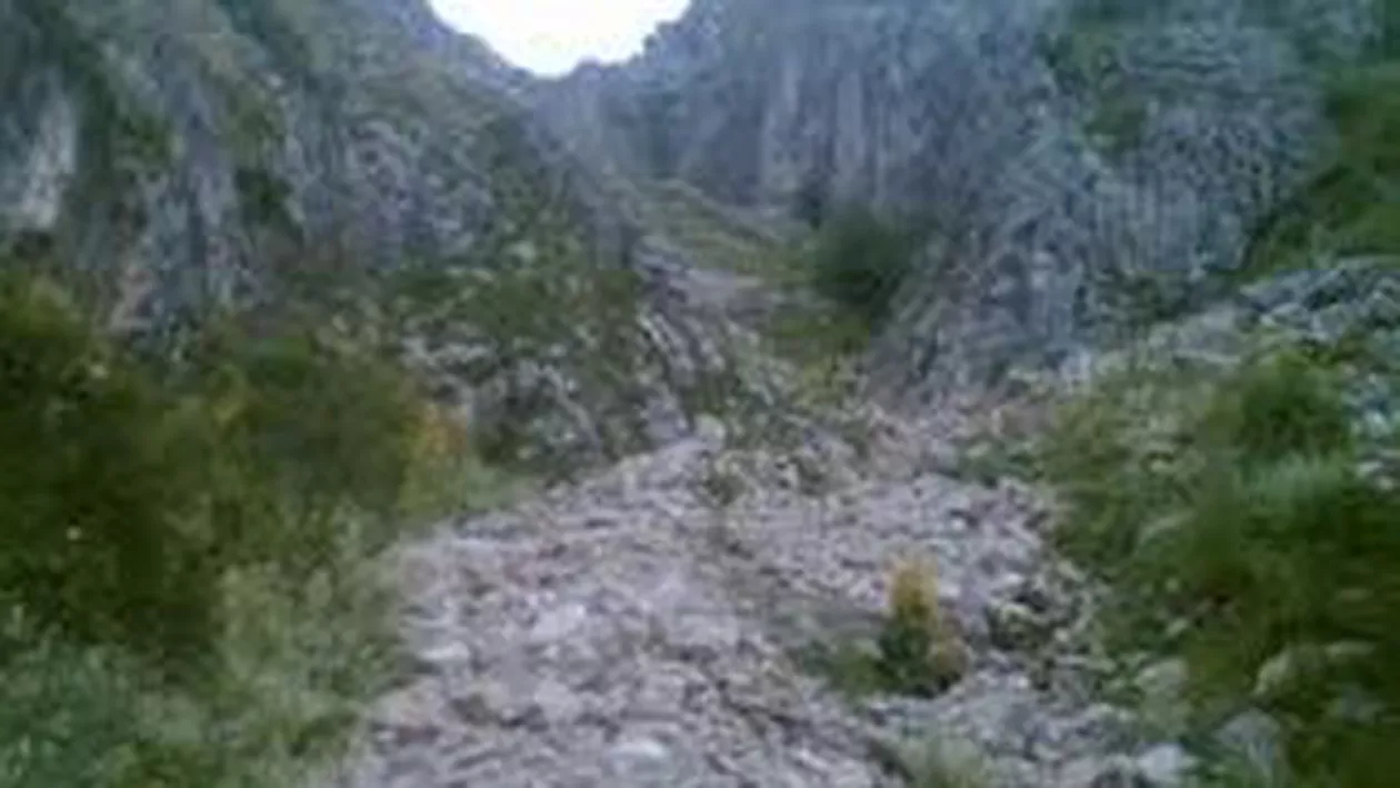 Cadavru în putrefacție, descoperit într-o prăpastie în apropiere de Oradea