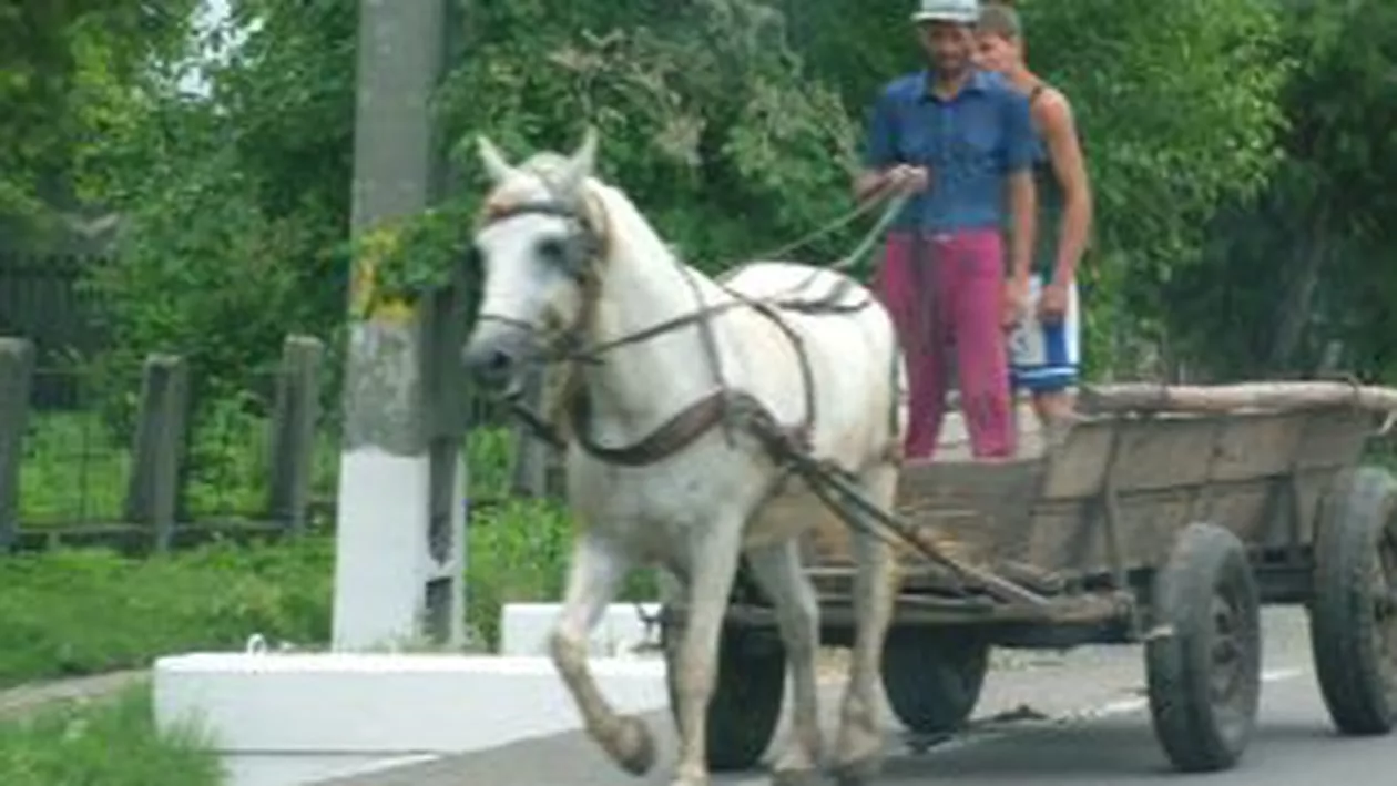Vaslui: Tânăr în stare gravă la spital, după ce două căruţe s-au ciocnit frontal pe un drum naţional