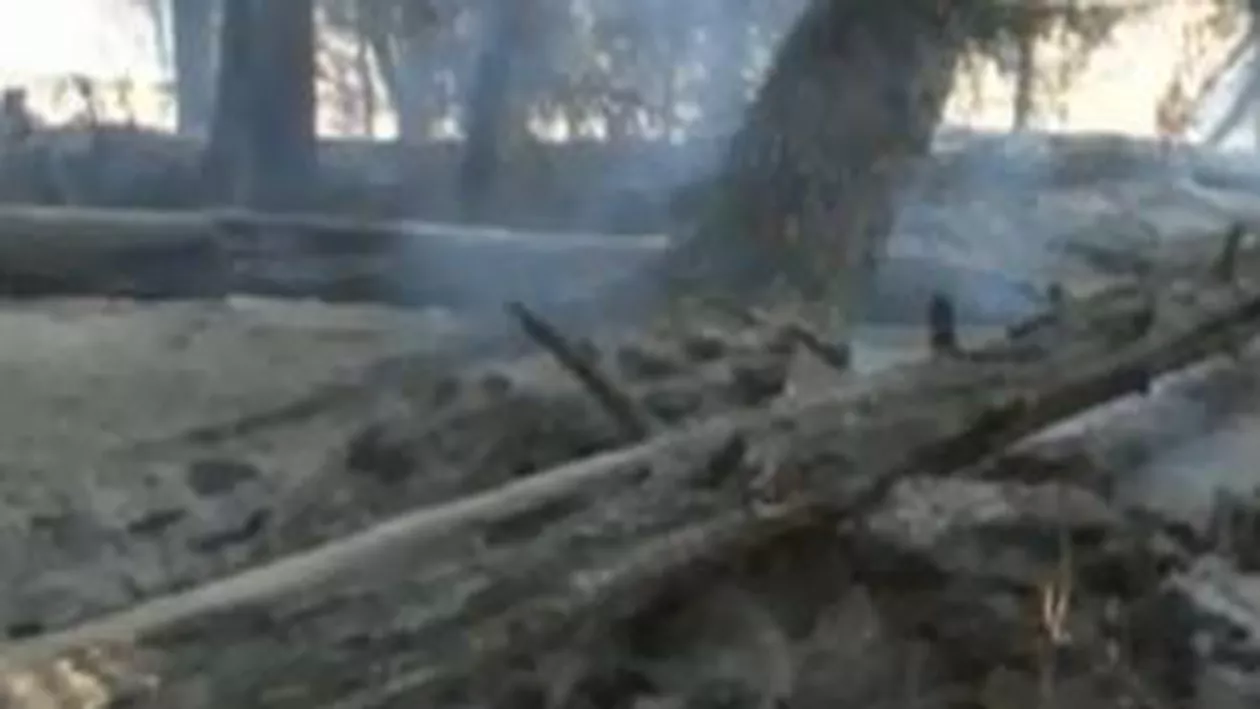 Incendiu puternic în Masivul Postăvaru, pe o suprafață de trei hectare