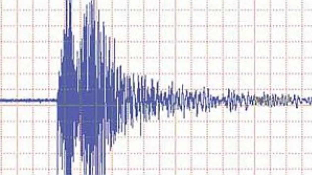 Un cutremur cu magnitudinea de 3,2 pe Richter s-a produs în Vrancea