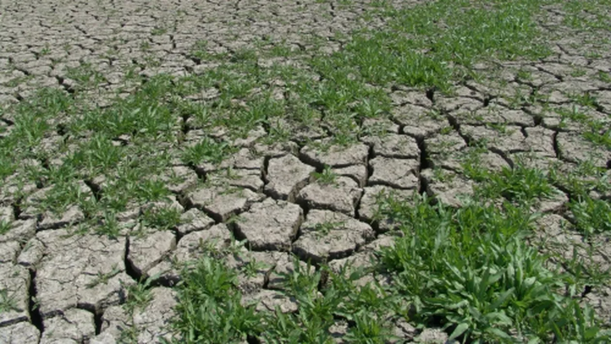 Comisia Europeană: România, țara cea mai afectată de secetă