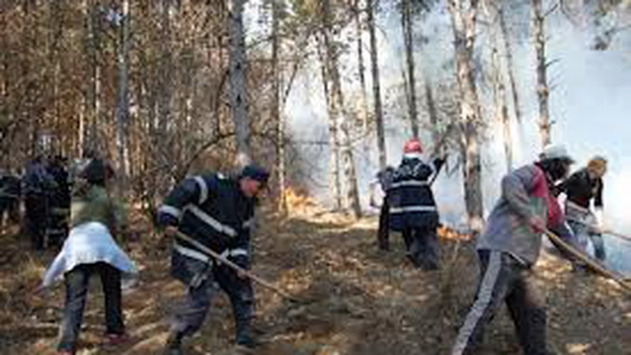 Incendiu puternic de pădure în Munții Buzăului: Peste 50 de pompieri și silvicultori intervin pentru stingerea lui