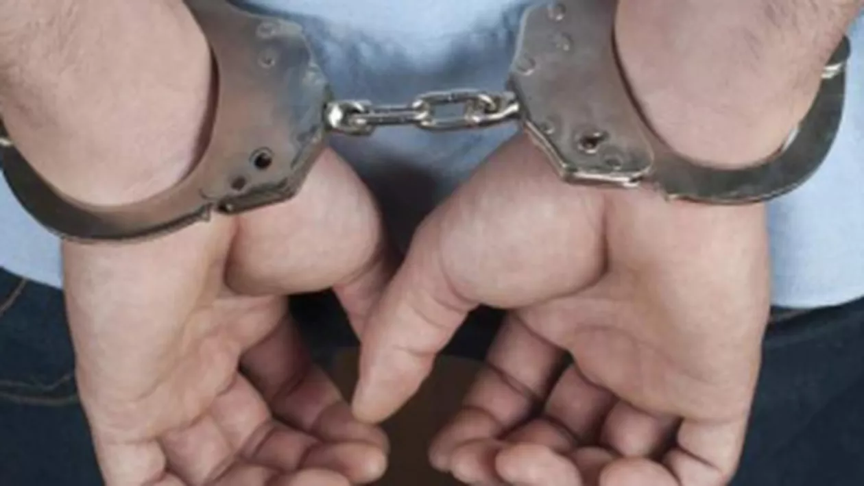 Doi bărbaţi care l-au însoţit pe bărbatul ucis de urs în Moroieni, reţinuţi pentru 24 de ore