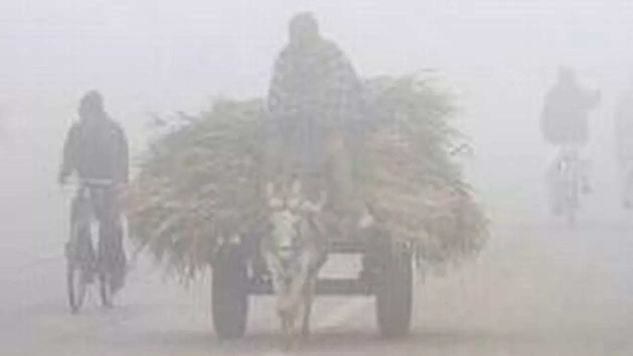 Avertizare de ceață pentru mai multe judeţe din Moldova și Transilvania