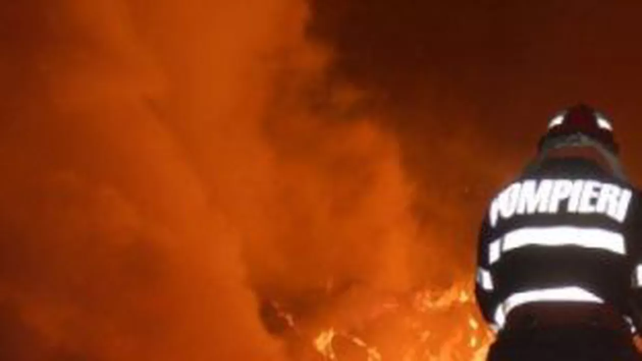 Incendiu în Cluj, izbucnit de la o lumânare: O femeie a murit și peste 120 de pisici și câini au ars