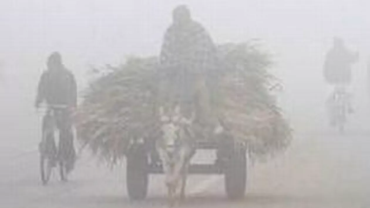 Avertizare de ceață pentru județele Mureș, Alba și Brașov