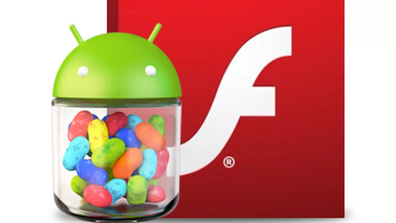 Cum poți să îți instalezi Flash Player pe Android 4.1
