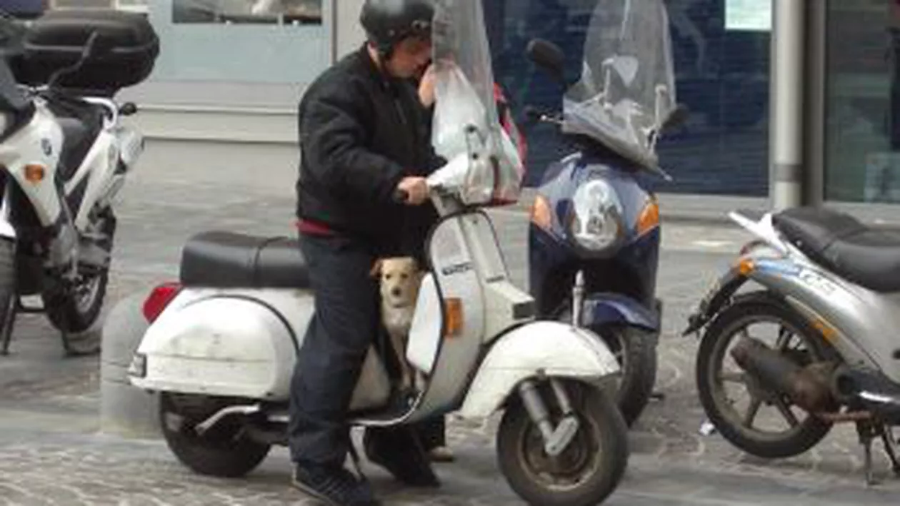 Noi schimbări în Codul rutier: Mopedele vor putea fi conduse, din ianuarie, numai cu permis de conducere