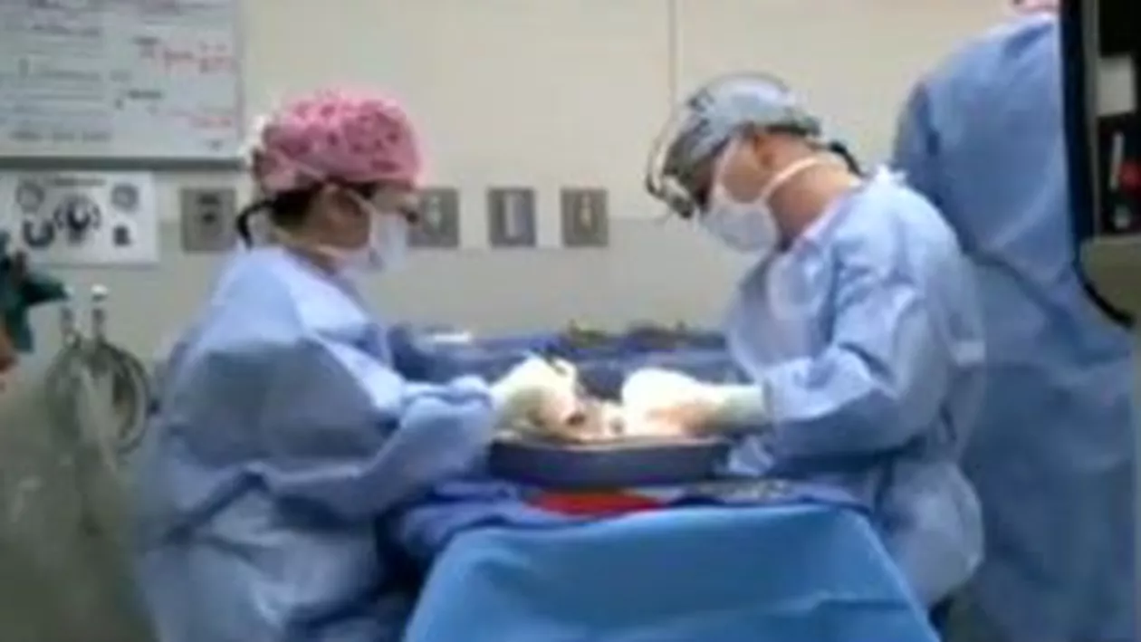 Primul transplant de pancreas din ţară, amânat din cauza cantității şi calității insulelor pancreatice prelevate