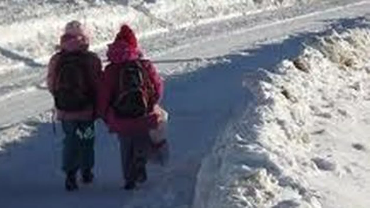 Ministerul Educației: Cursurile au fost suspendate total sau parțial în județele Timiș, Suceava, Arad și Vâlcea