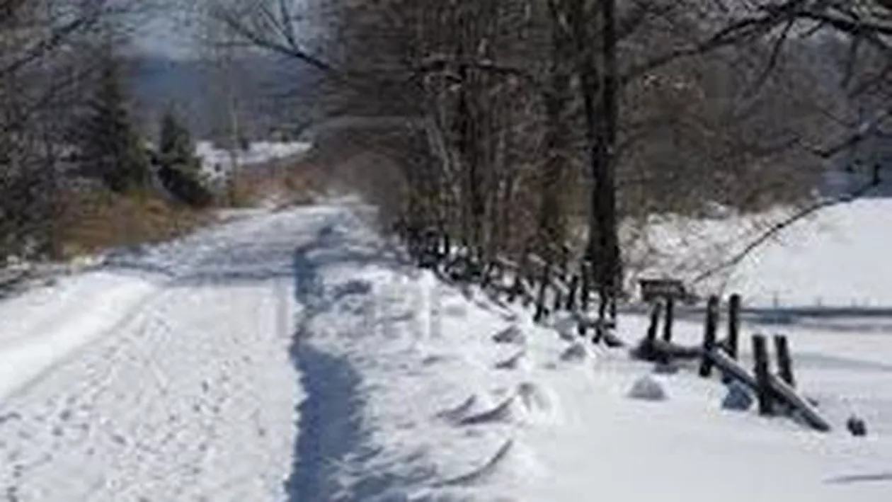 Şcoli închise în mai multe judeţe, din cauza vremii