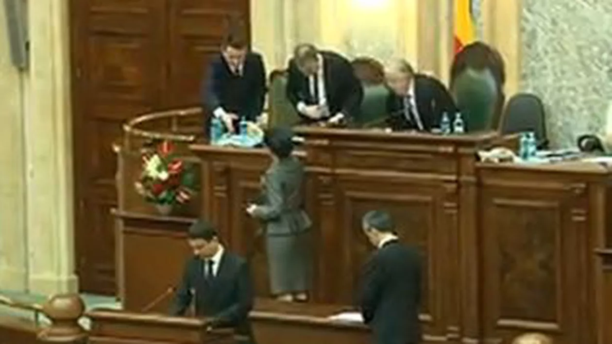 Mandatele a șapte deputați nu au fost validate din cauza unor documente lipsă. Printre aceștia, Petre Roman și Oana Mizil