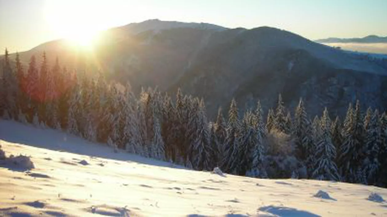 Meteorologii anunță vreme călduroasă de Crăciun, cu temperaturi care pot ajunge până la 17 grade, în sudul Banatului