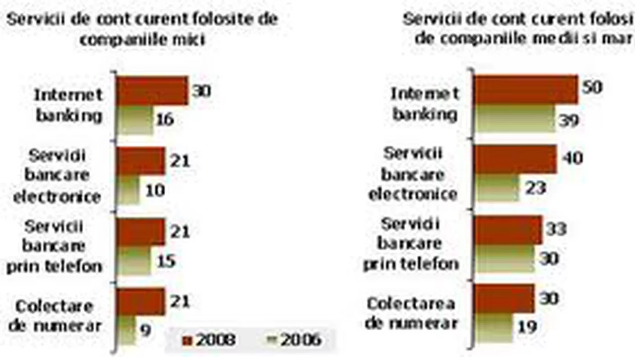 Tot mai mulți români au folosit internetul în ultimii doi ani: Vezi concluziile studiului GfK
