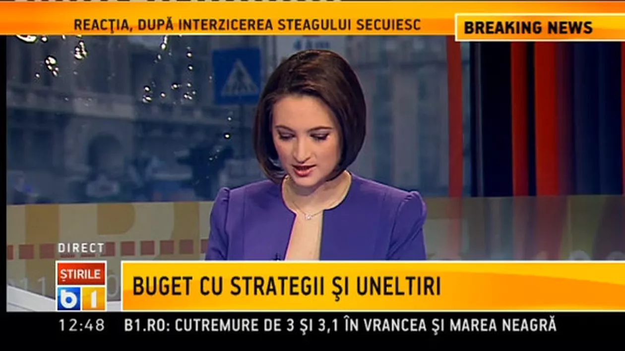Președintele Viktor Ianukovici este împotriva transferului Iuliei Timoşenko în străinătate pentru tratament