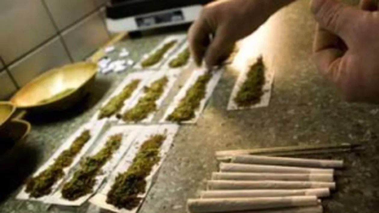 Şapte laboratoare de producere a cannabis-ului, descoperite în Capitală: 12 suspecți au fost reținuți de DIICOT