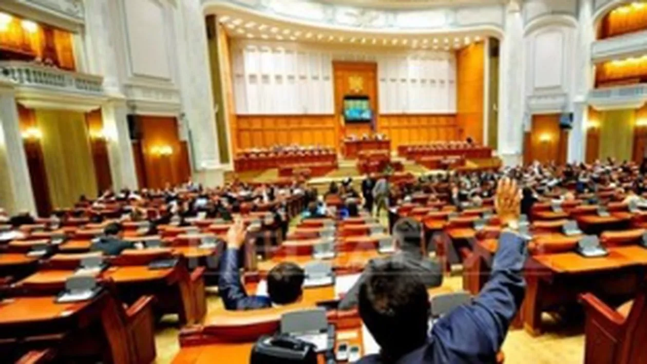 PDL va depune, împreună cu PPDD, o moţiune simplă pe tema aderării la Schengen