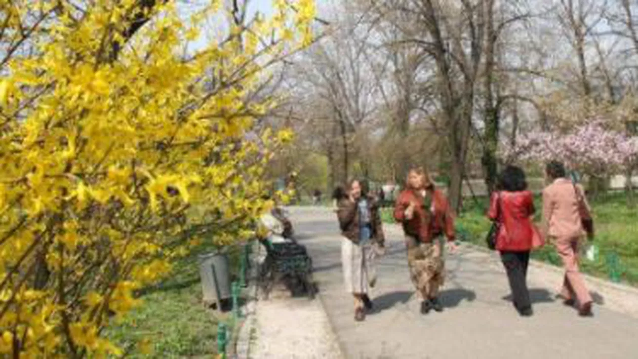 Vreme frumoasă de 8 martie. Vezi prognoza meteo pentru acest weekend