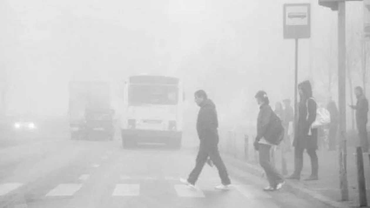 Cod galben de ceață pentru mai multe județe din Moldova și Dobrogea