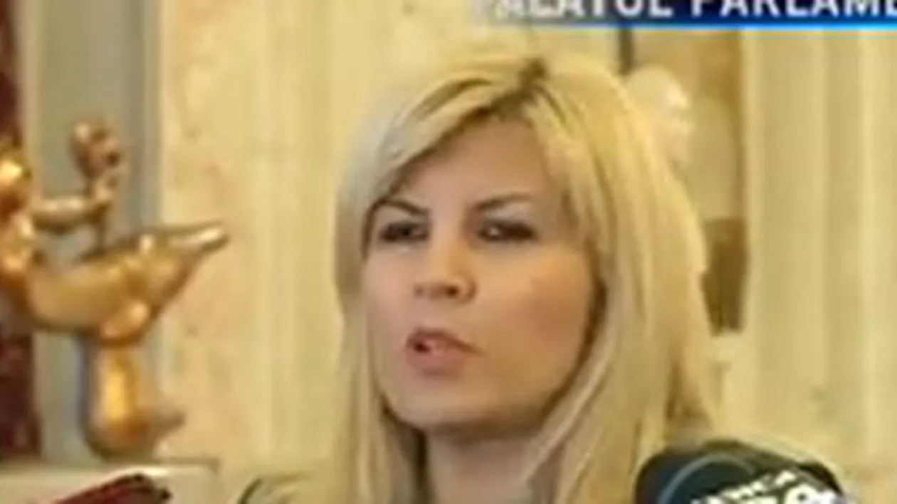 Elena Udrea: Nu voi mai face parte din conducerea viitoare a PDL