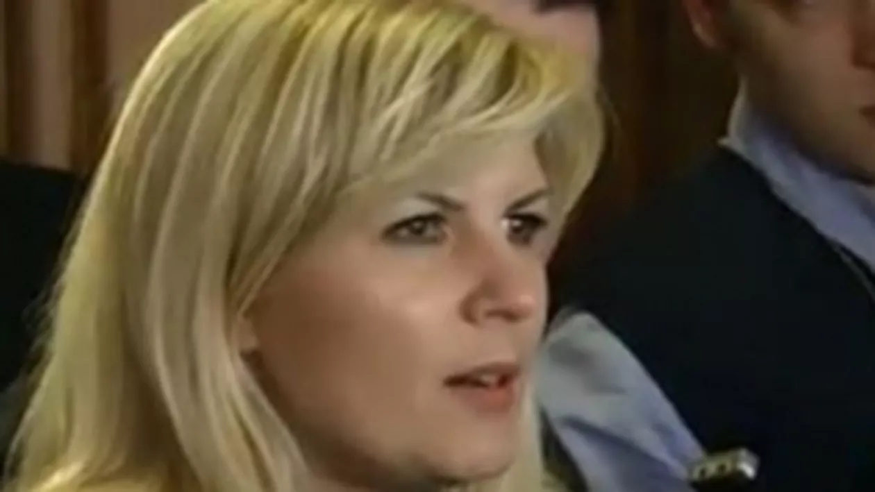 Elena Udrea: Nu îmi doresc să se rupă PDL, dar această chestiune trebuie să fie o grijă pentru conducerea partidului