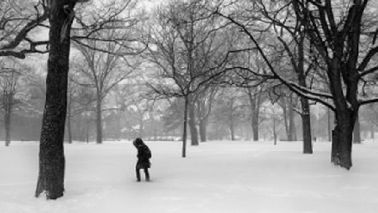 Viscol în Suceava: Mai multe drumuri au fost închise ori au restricţii de tonaj. 500 de case, fără electricitate