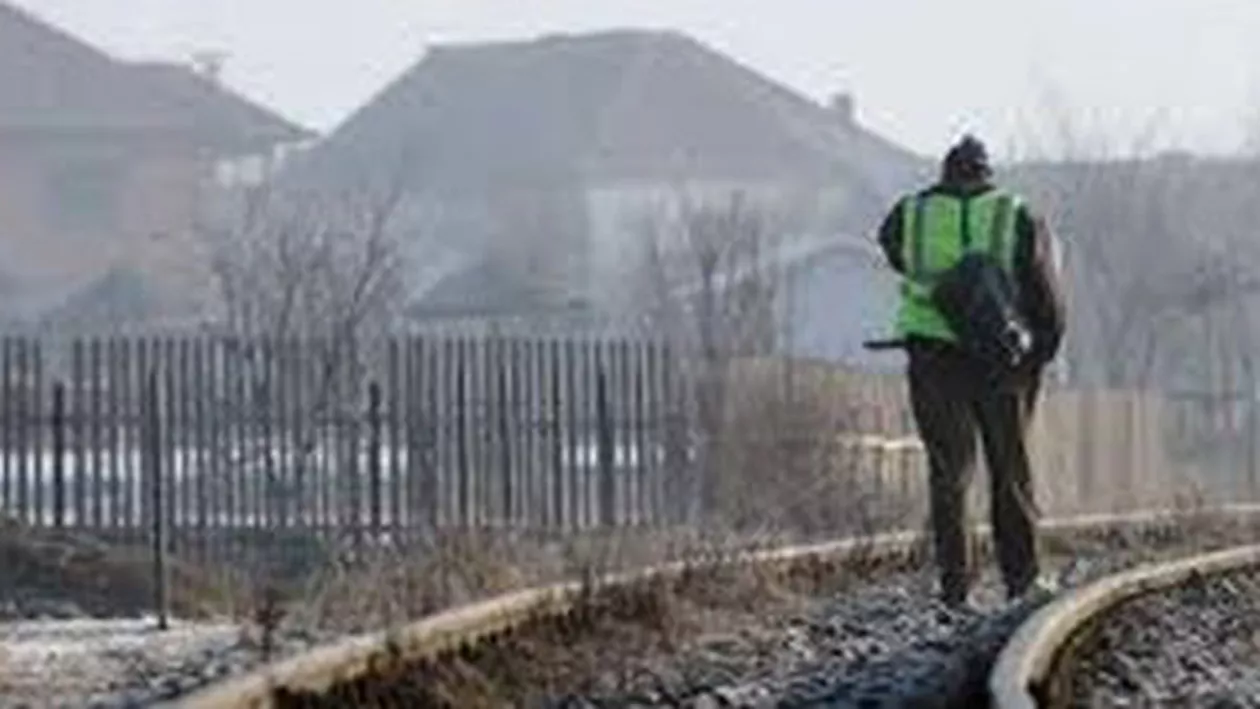 CFR SA începe procedura de recrutare a 12 directori