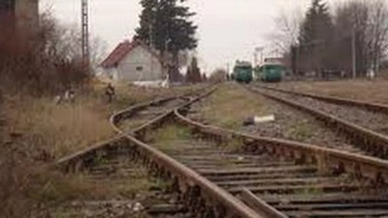 Bacău: Un tânăr acuzat că a furat mai multe bucăți de șină de cale ferată a fost arestat