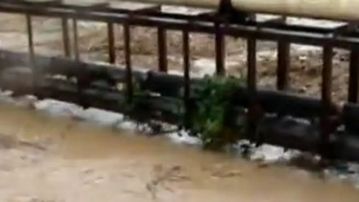Autoritățile din Ialomița caută un bărbat dispărut în urma inundațiilor
