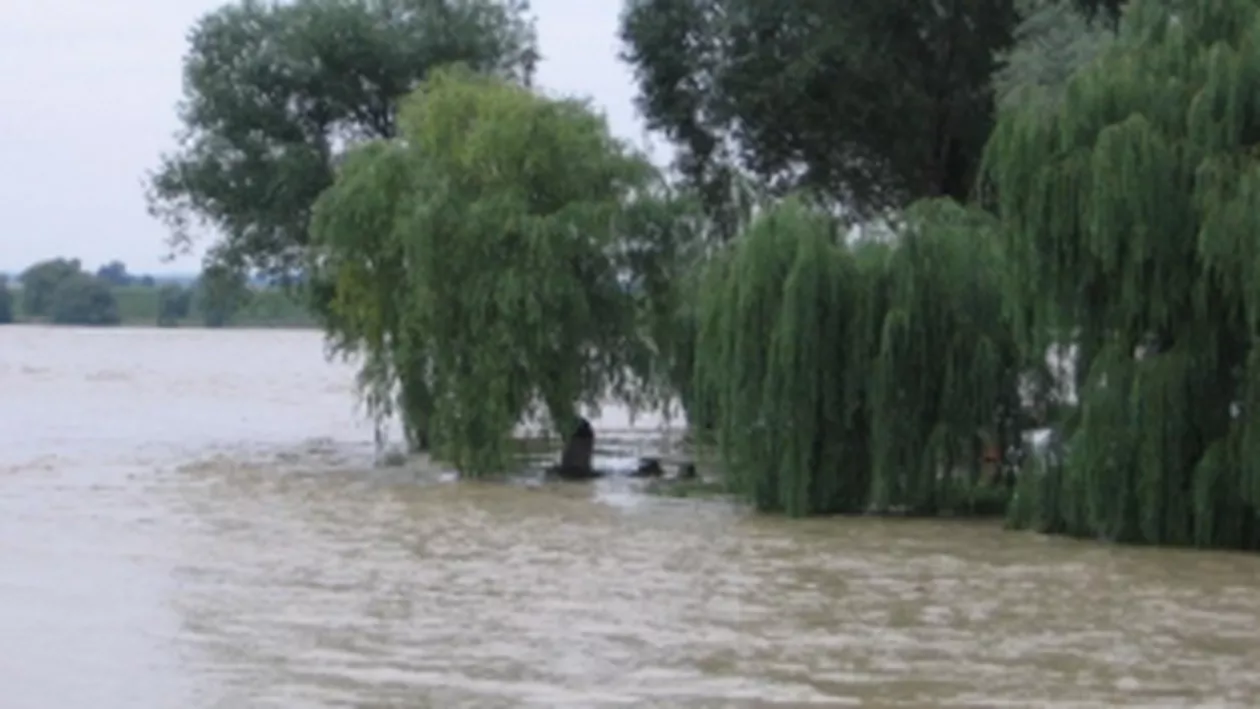 Cod portocaliu de inundaţii pe Dunăre în şapte judeţe, până la 17 aprilie
