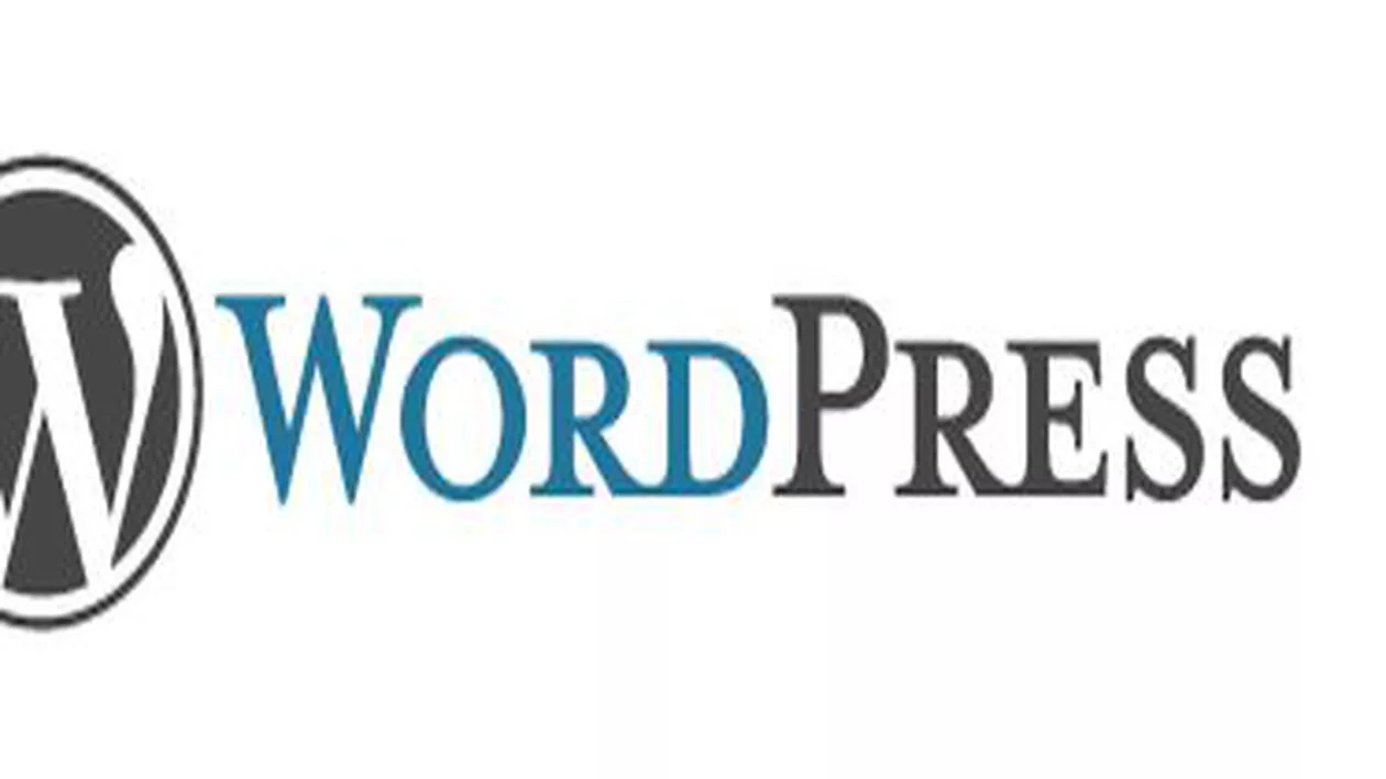 WordPress, ținta unui atac informatic redutabil: 90.000 de bloguri au fost afectate