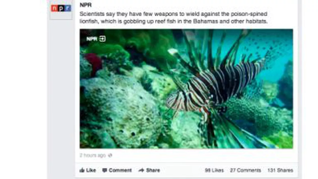 Facebook testează un nou aspect pentru fotografiile de pe profilele utilizatorilor, menit să-i ajute pe creatorii de conținut propriu