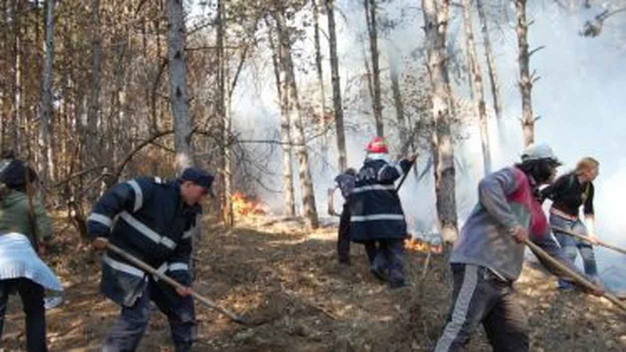 Suceava: Incendiu puternic într-o zonă de pădure. Lipsa apei face dificilă intervenția pompierilor