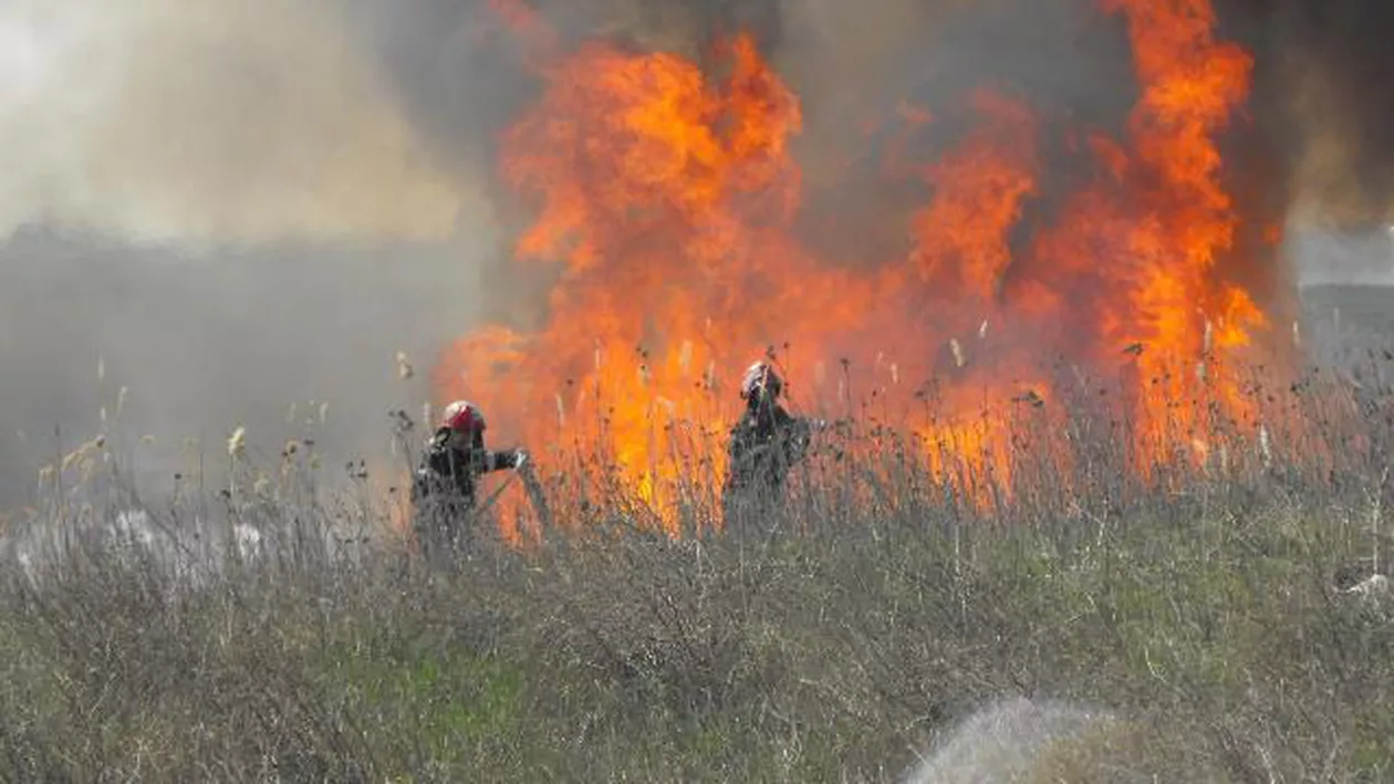 Suceava: Incendiu puternic într-o pădure din apropierea Rezervaţiei Călimani