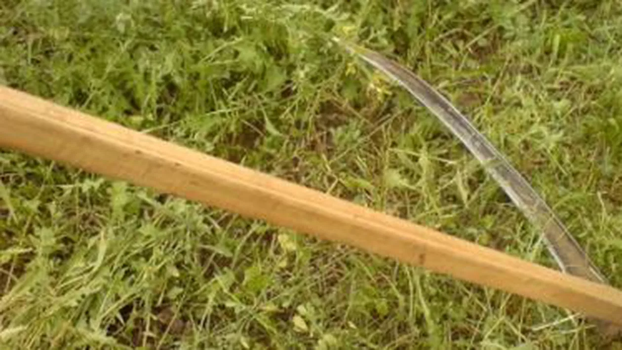 Un tânăr din Vaslui a amenințat un polițist cu o coasă: A fost oprit cu focuri de armă