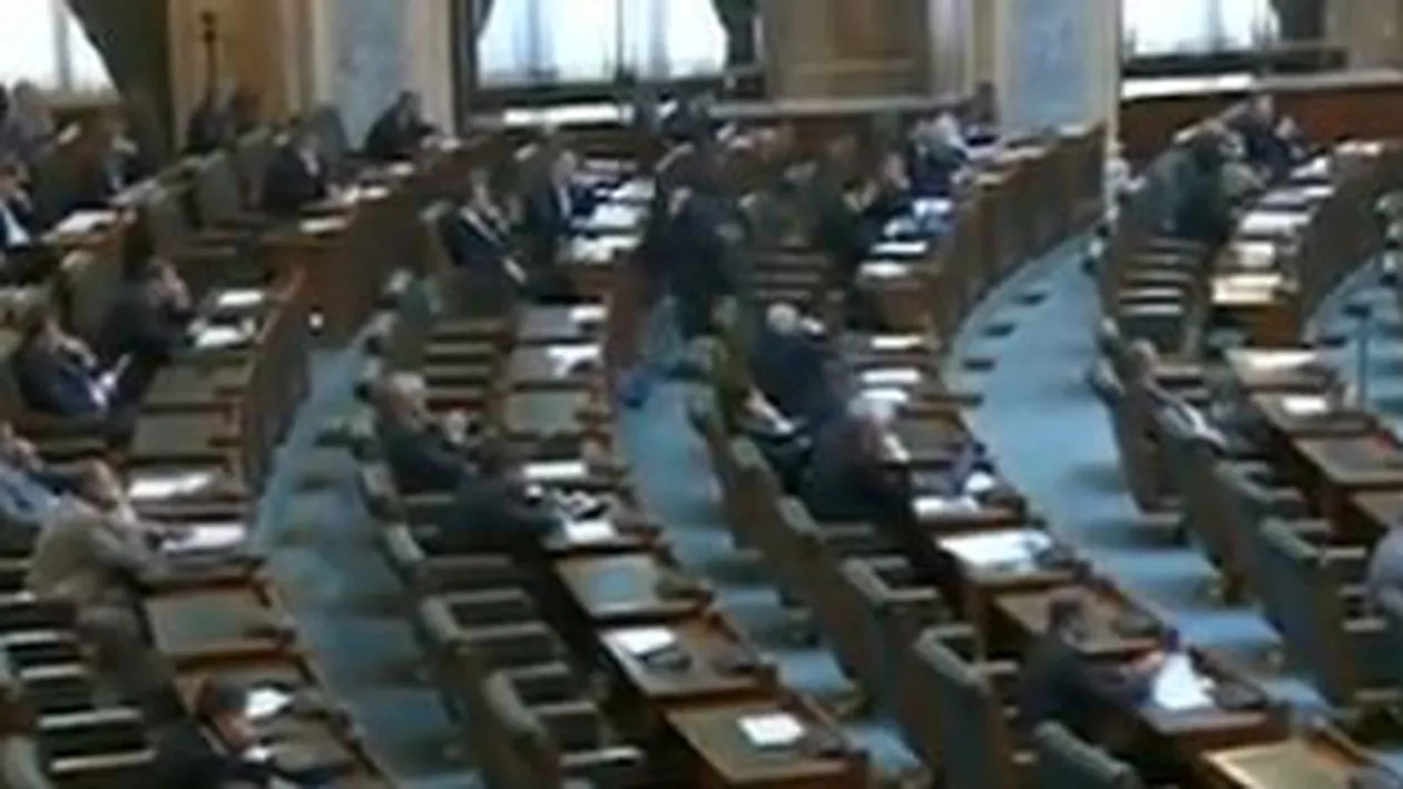 Legea grațierii, respinsă de Senat: Proiectul merge la Camera Deputaților