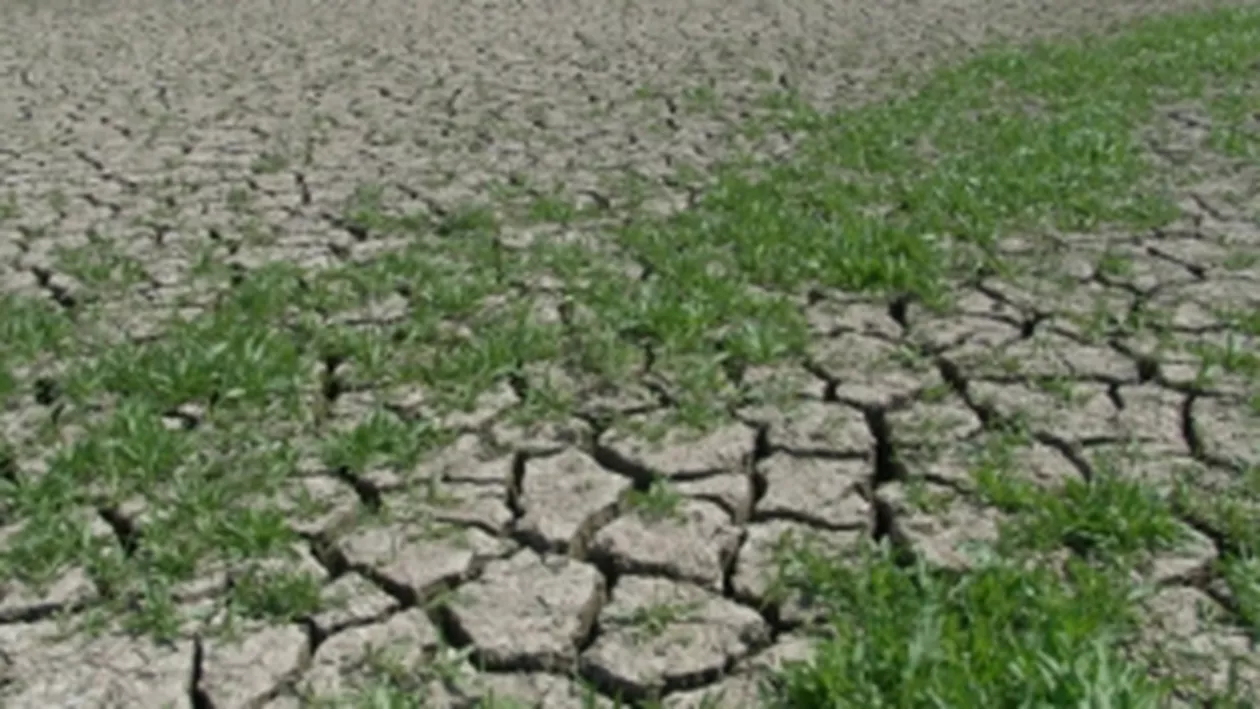 Prognoza meteo pe următoarele trei luni indică o vară toridă și secetoasă