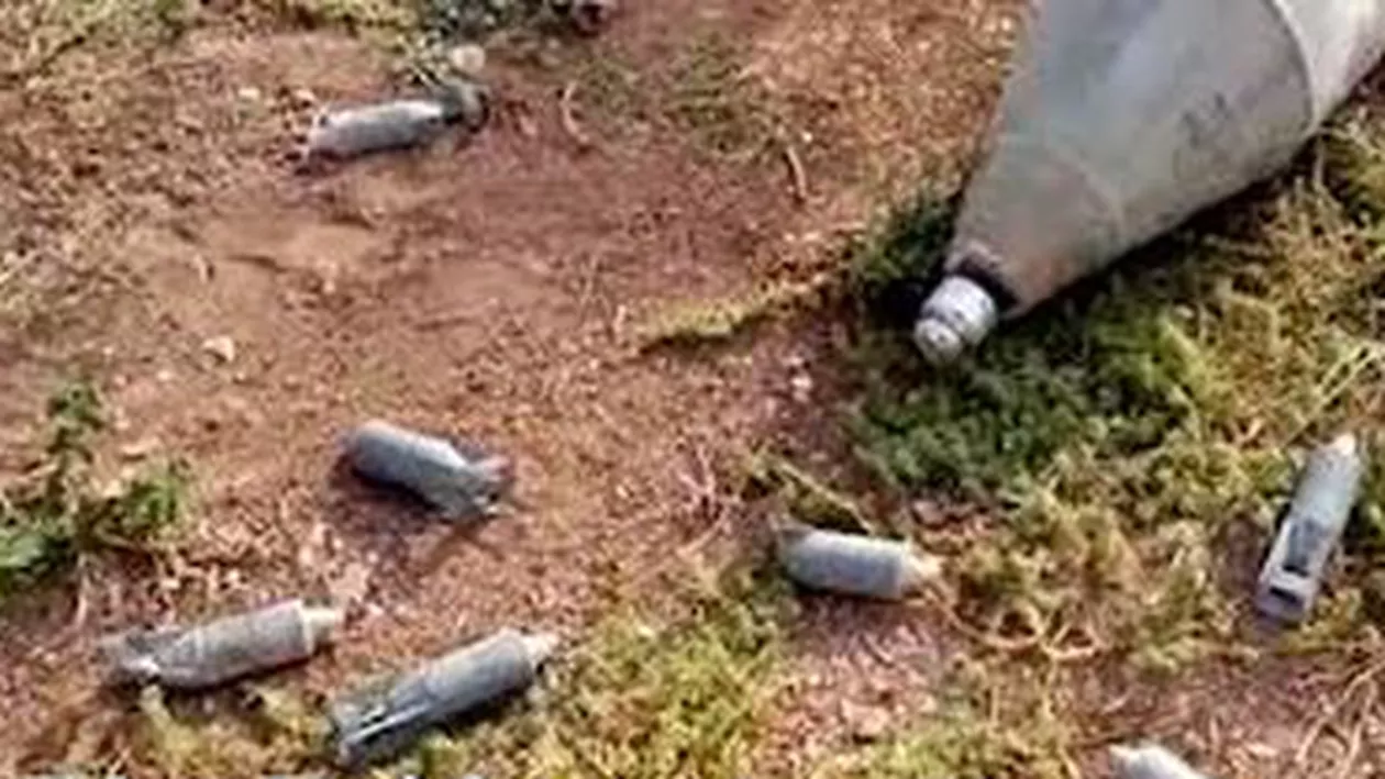 Trei bombe şi două focoase din Al Doilea Război Mondial, descoperite într-o pădure din Vaslui