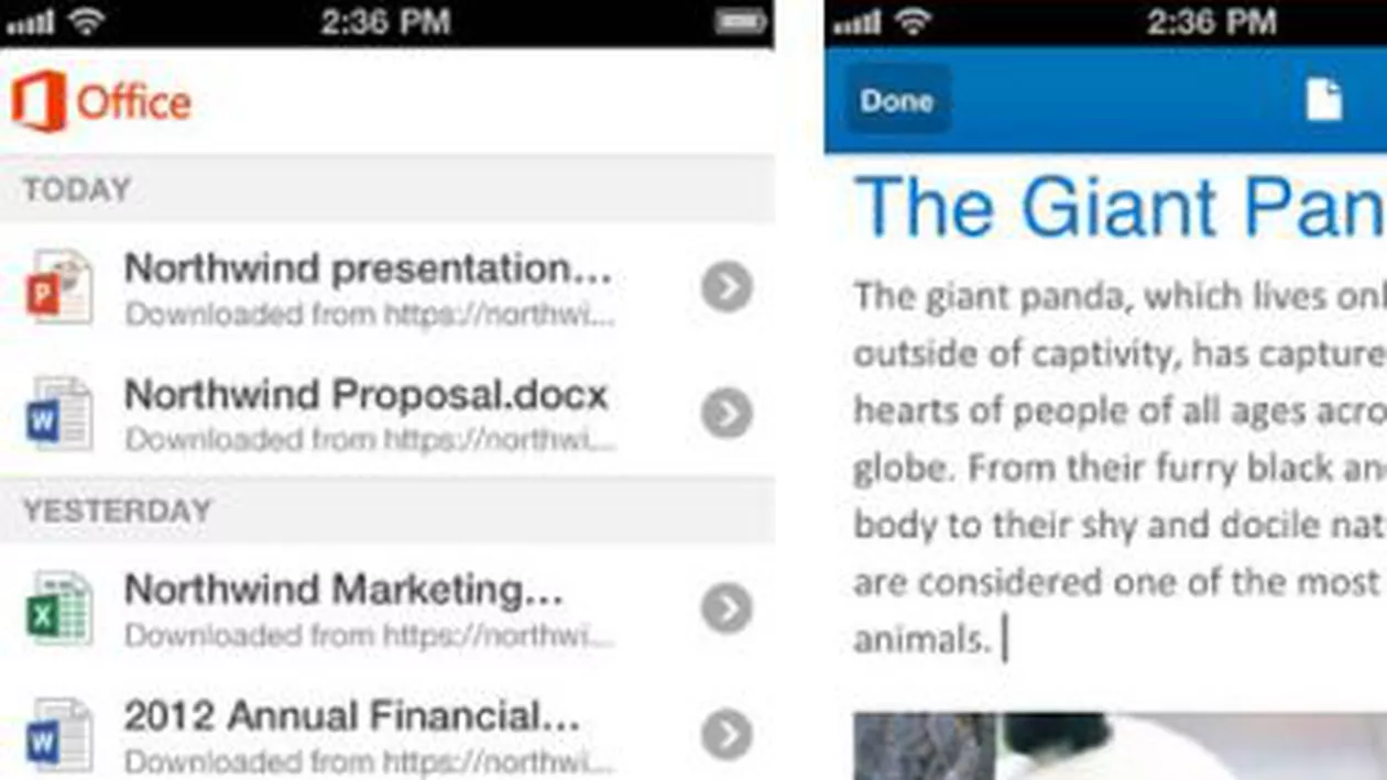 Microsoft a lansat Office pentru iPhone, însă nu și pentru iPad