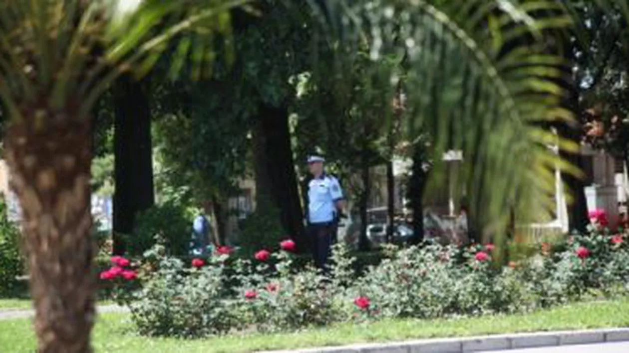 Eveniment ”inacceptabil” în Timișoara: 18 polițiști păzesc palmierii din oraș