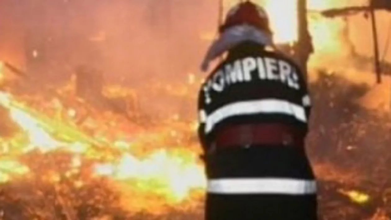 Suceava: Incendiu la un centru de prelucrare a laptelui