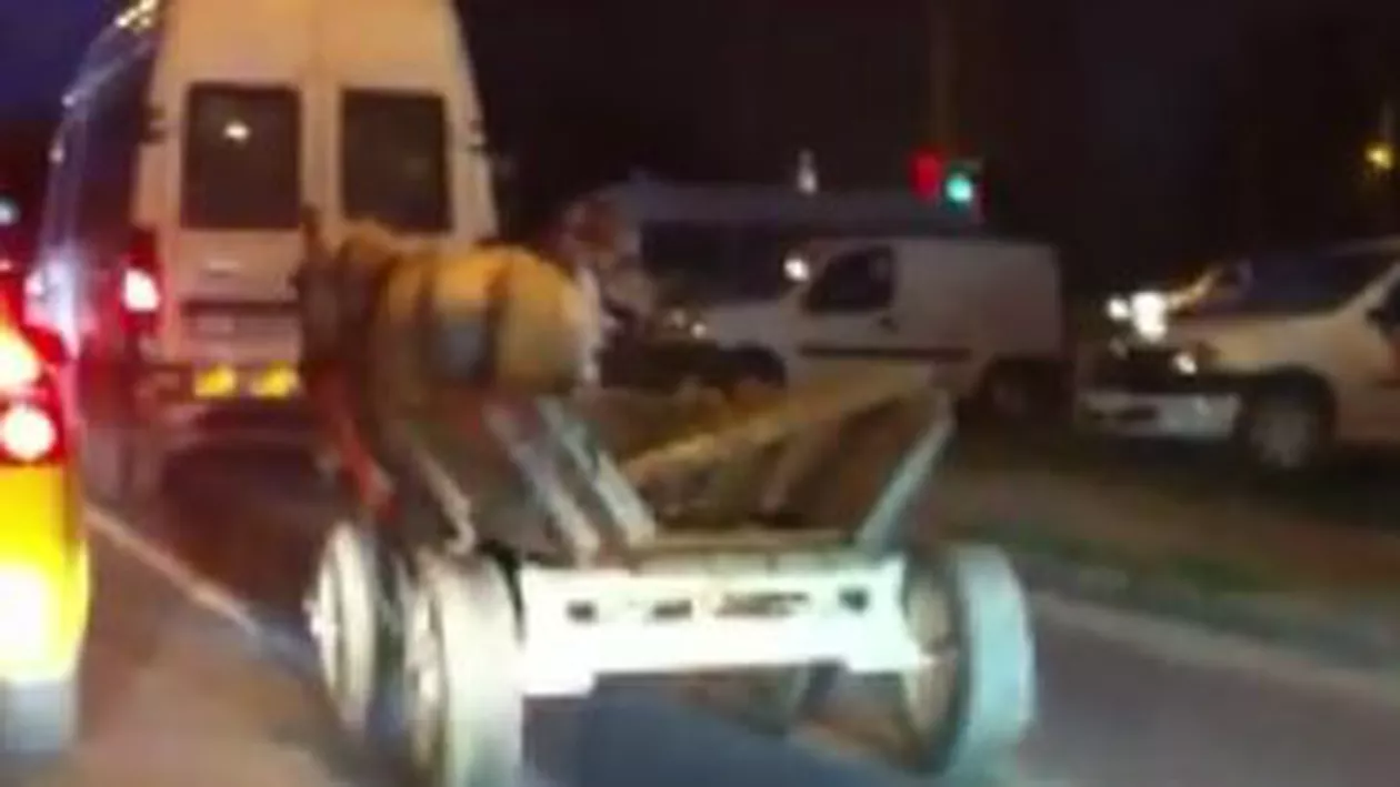 Constanța: Un bărbat aflat în stare de ebrietate, la un pas de a provoca o tragedie