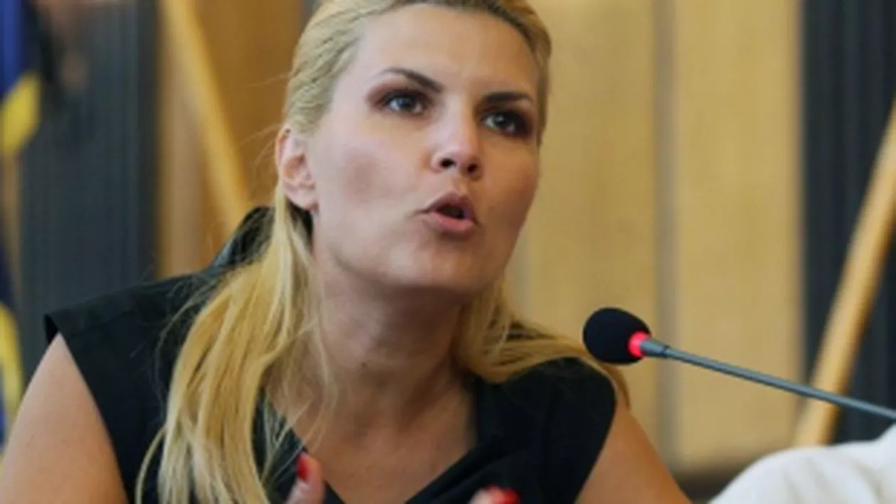 Udrea: PDL are nevoie de Traian Băsescu pentru a crește în sondaje