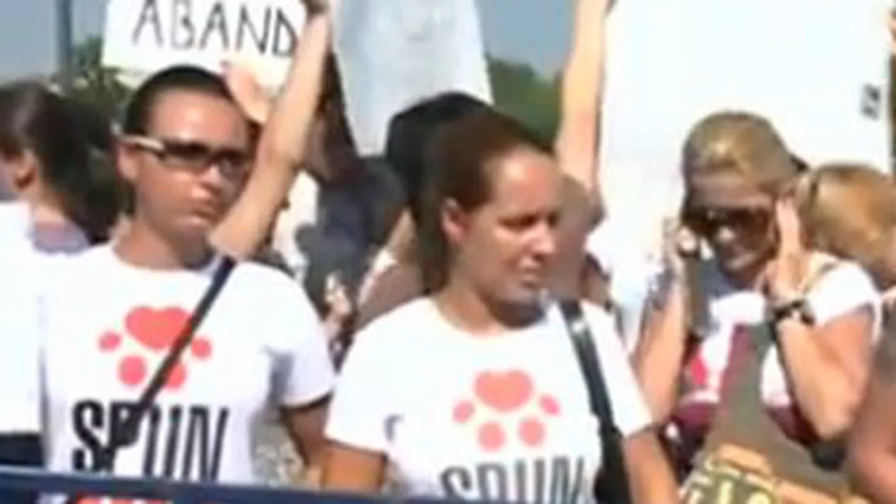 Iubitorii de animale protestează în fața Palatului Parlamentului împotriva eutanasierii câinilor (VIDEO)