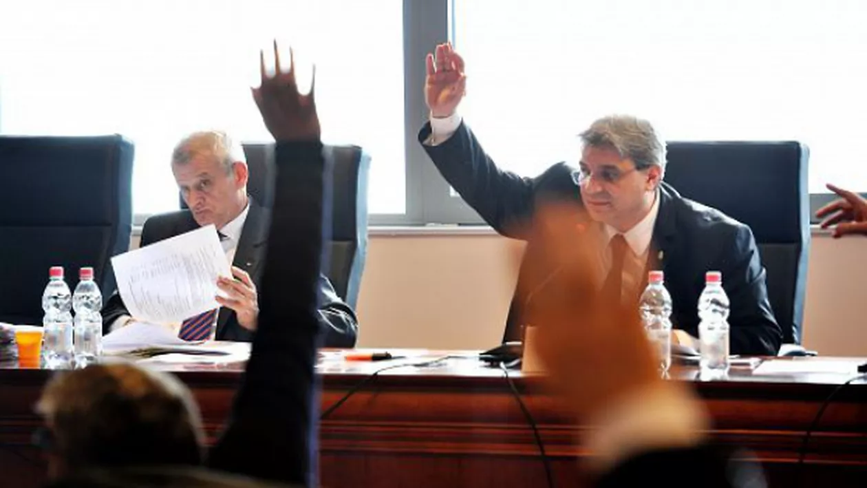CGMB a aprobat anularea referendumului local privind eutanasierea câinilor maidanezi