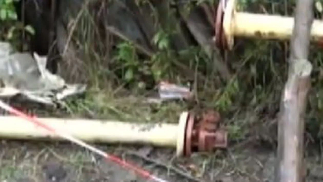 Suceava: Un copac s-a prăbușit peste o conductă de gaz din cauza ploilor abundente (VIDEO)
